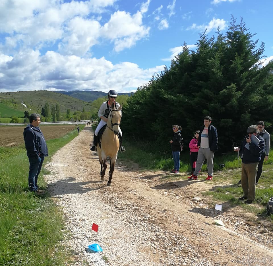 Resultados Concurso Nacional de Trec*** y Campeonato Navarro 2018